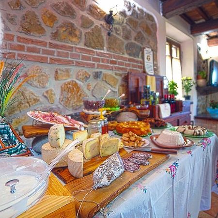 Agriturismo La Valle Degli Ulivi Semproniano Eksteriør bilde