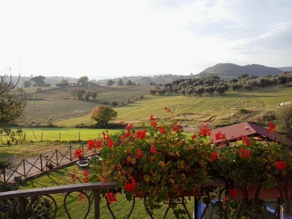 Agriturismo La Valle Degli Ulivi Semproniano Eksteriør bilde