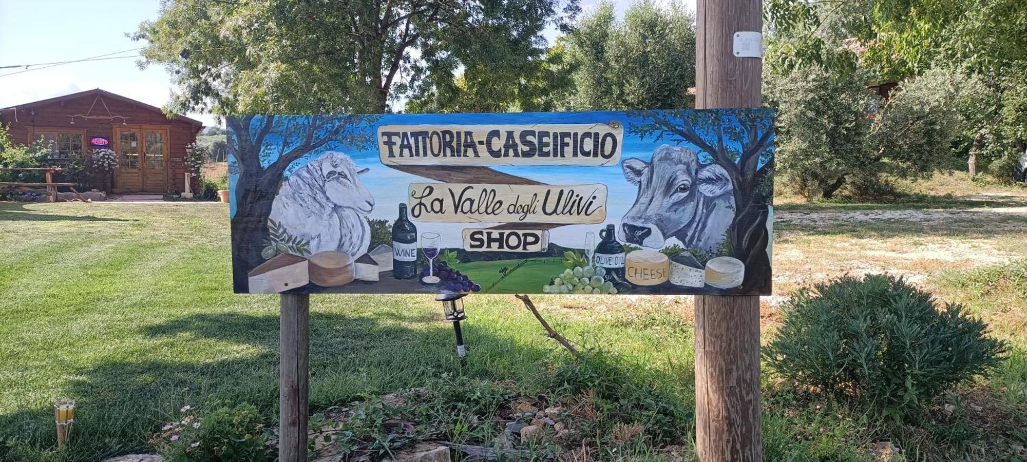 Agriturismo La Valle Degli Ulivi Semproniano Eksteriør bilde