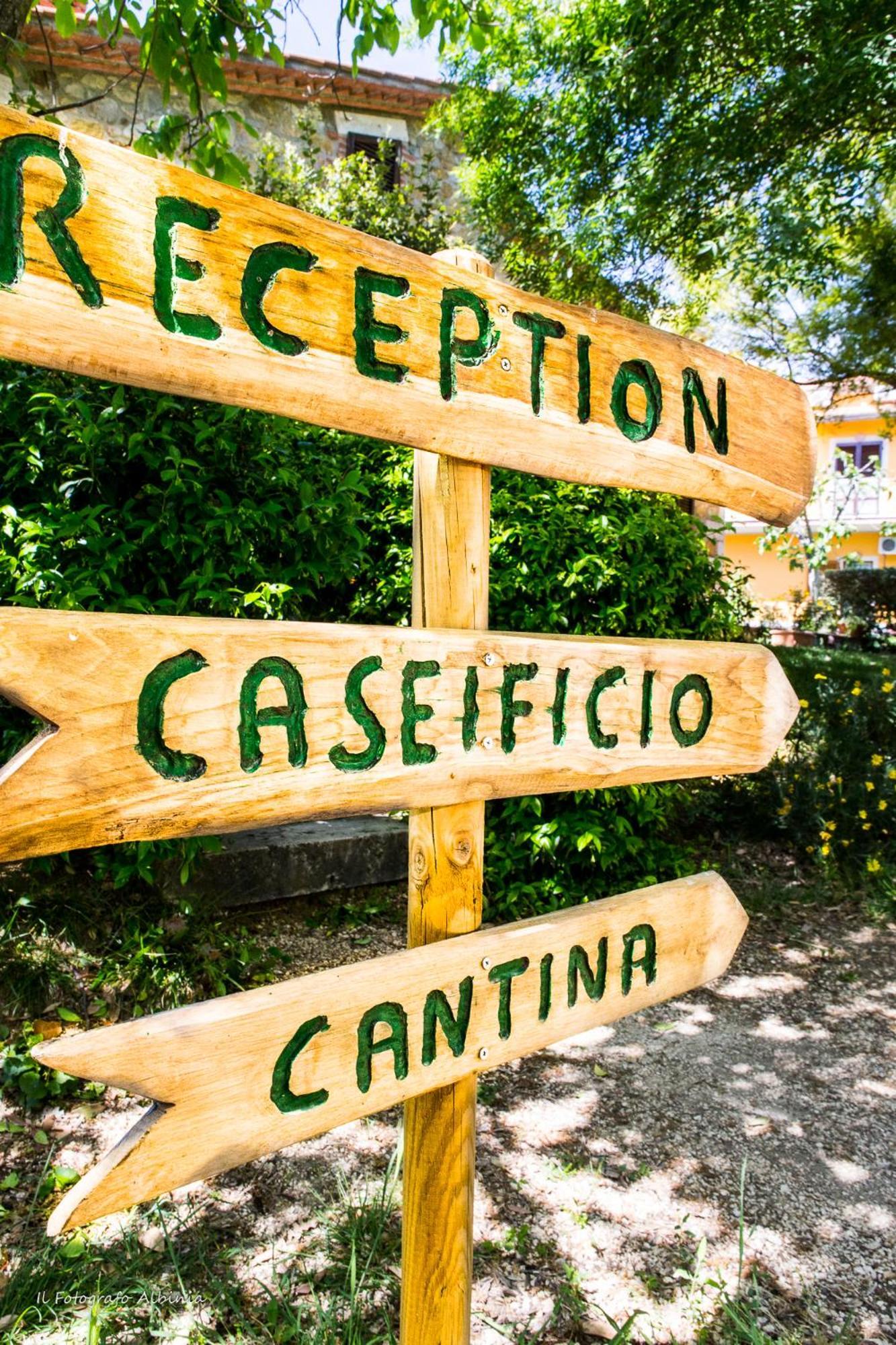 Agriturismo La Valle Degli Ulivi Semproniano Eksteriør bilde