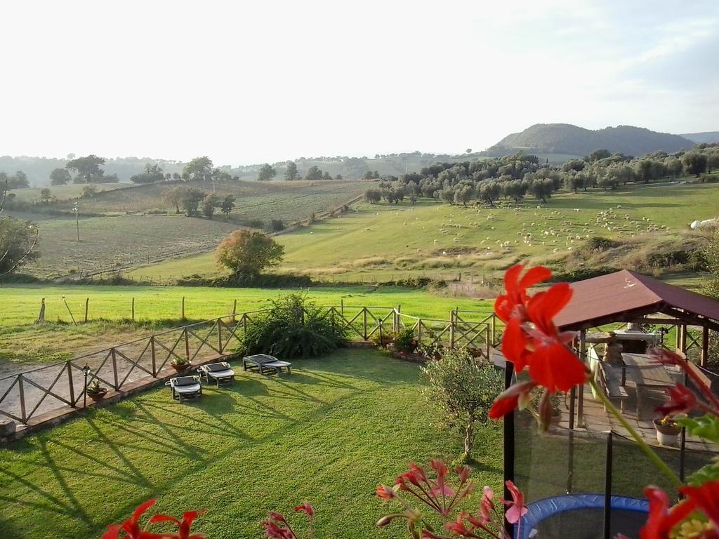 Agriturismo La Valle Degli Ulivi Semproniano Eksteriør bilde