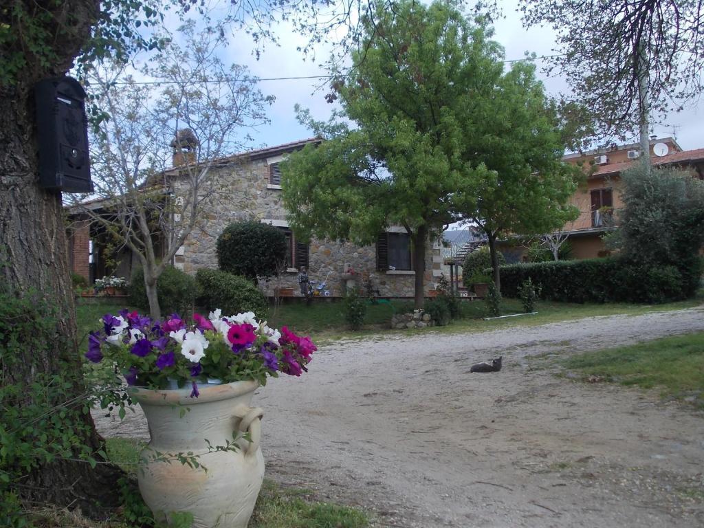 Agriturismo La Valle Degli Ulivi Semproniano Eksteriør bilde